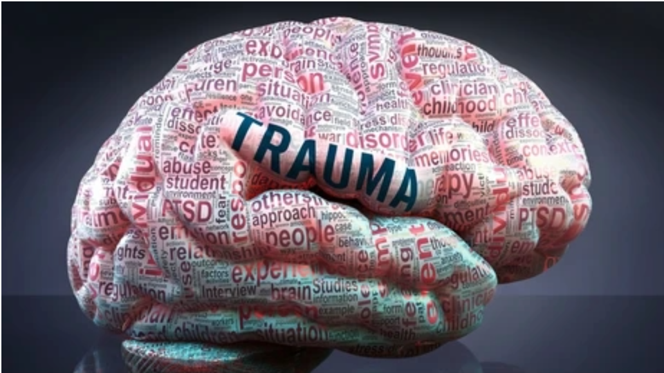 TRAUMA IN THE BRAIN